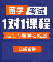 大连冷链物流及食品加工园区留学考试一对一精品课